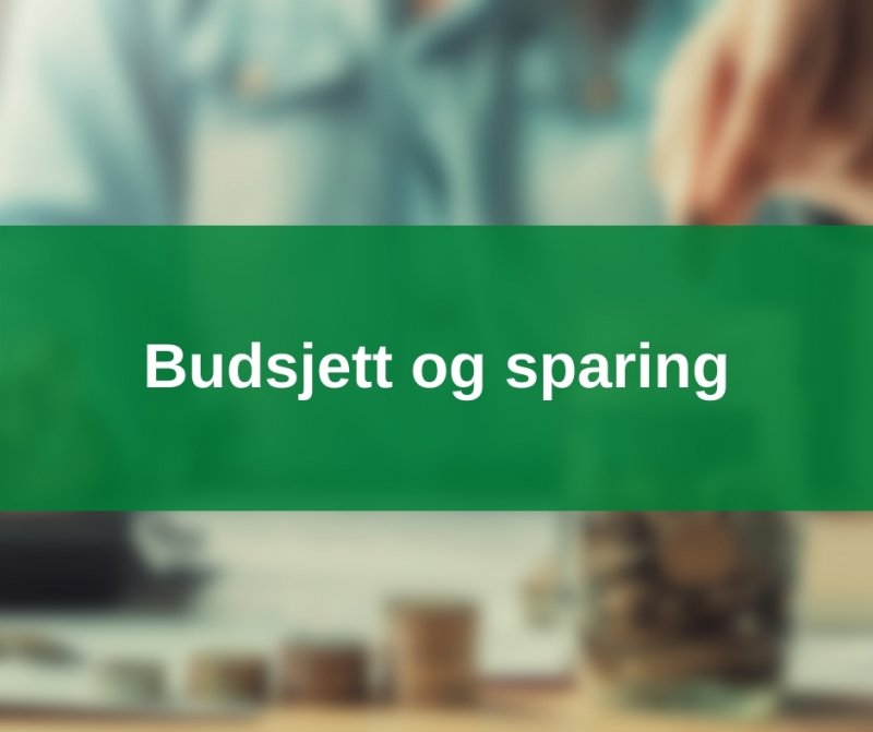 Budsjett og sparing