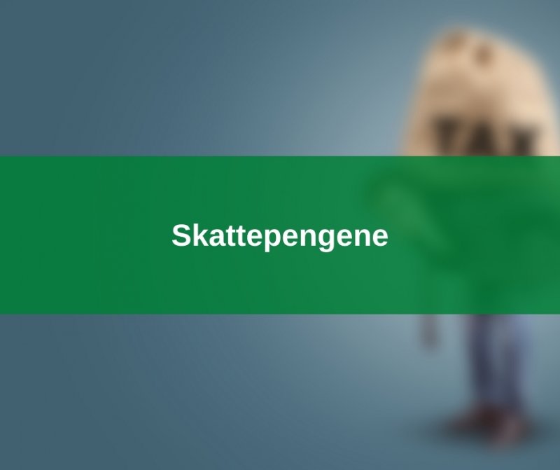 Skattepengene 2021